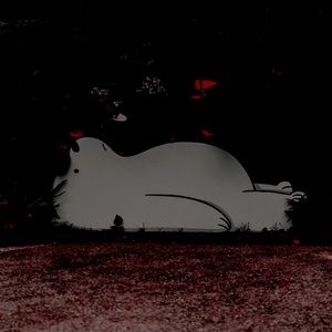 Meet your Posher, Sam